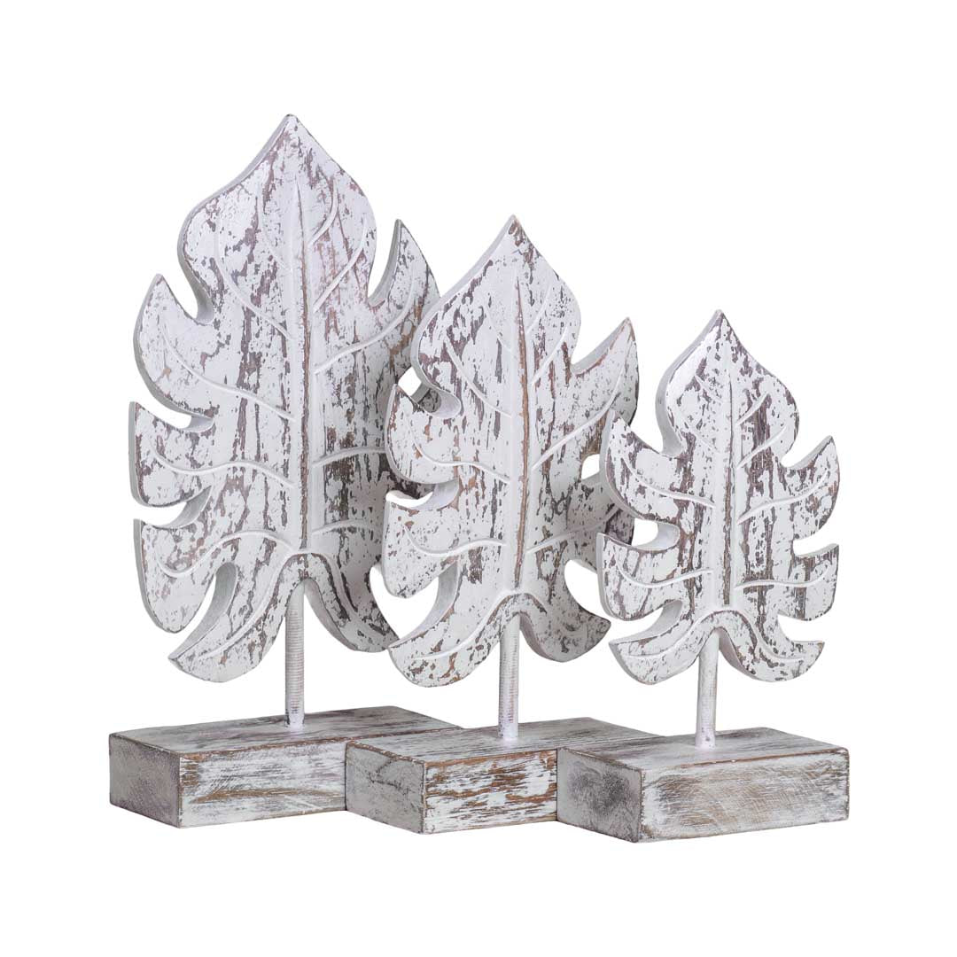 Set 3 frunze albe Monstera