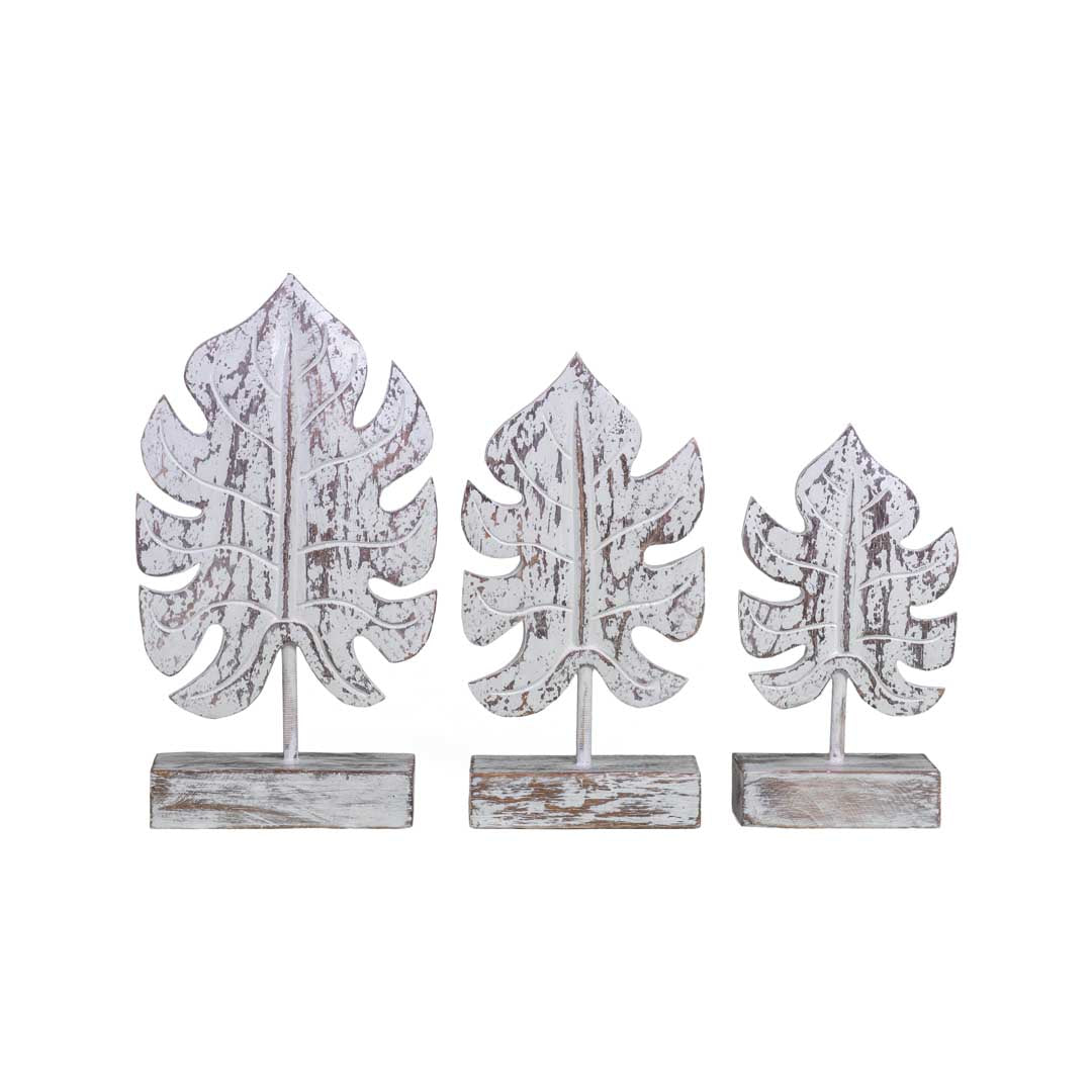 Set 3 frunze albe Monstera