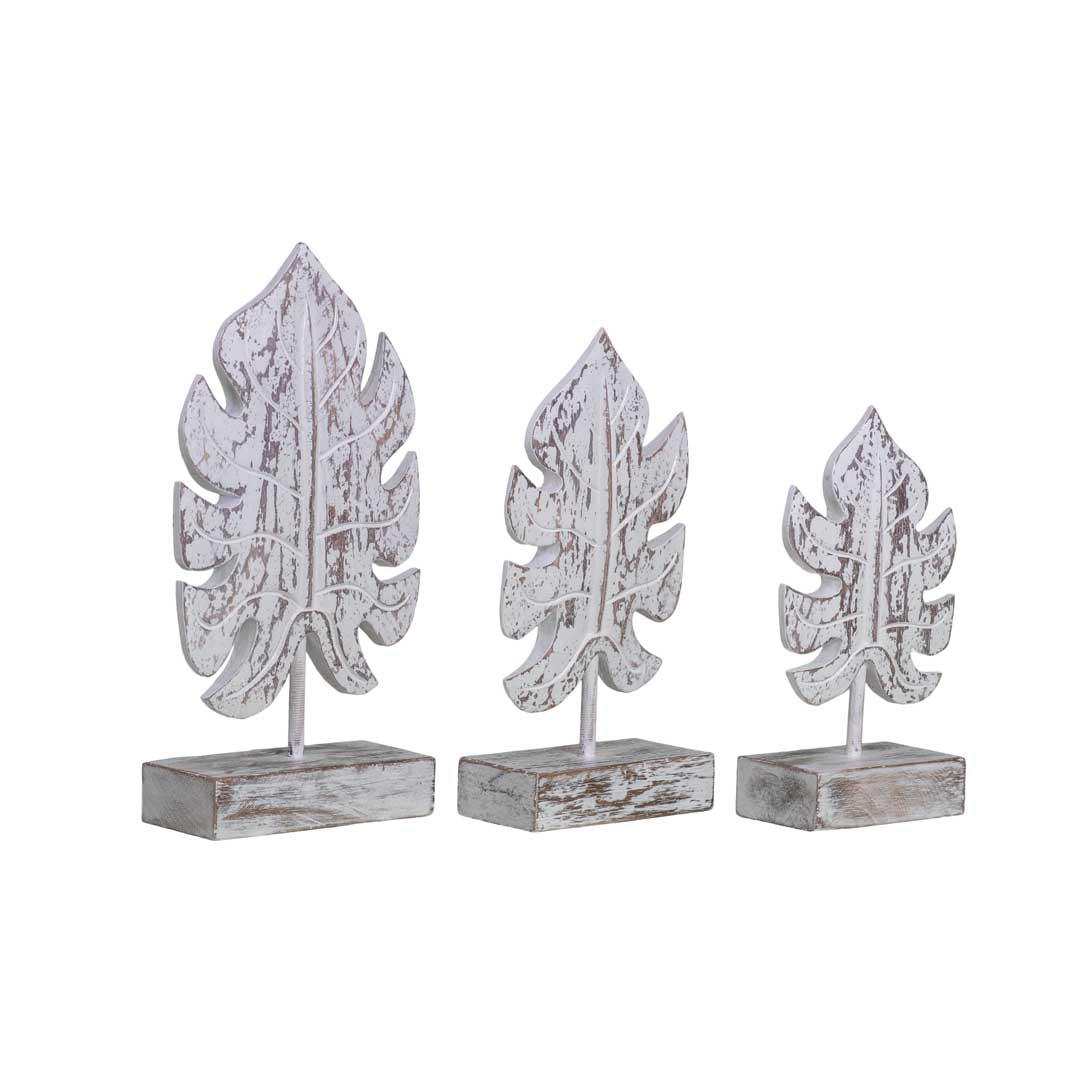 Set 3 frunze albe Monstera