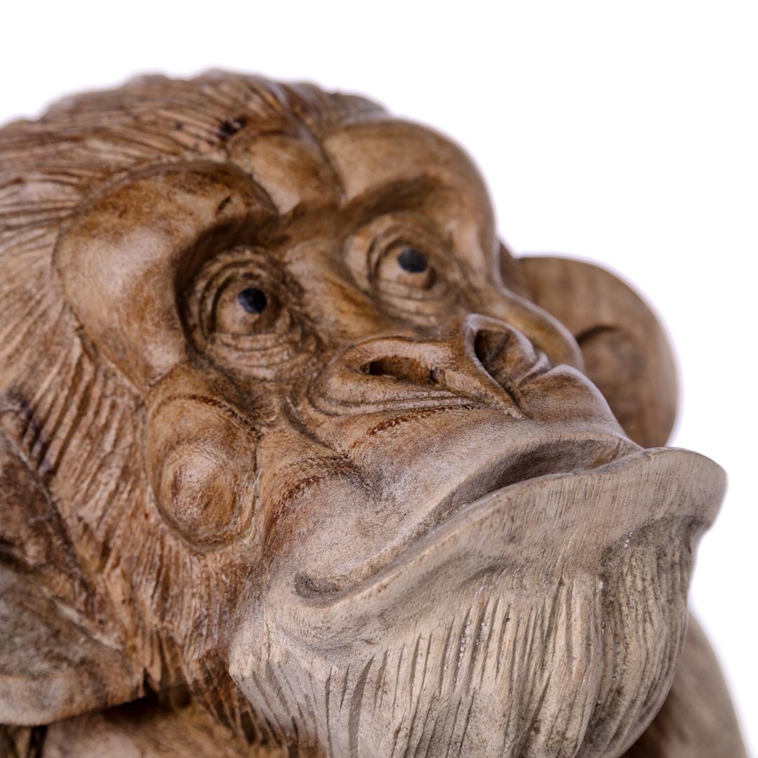 Statueta maimuta din lemn de suar 25 cm