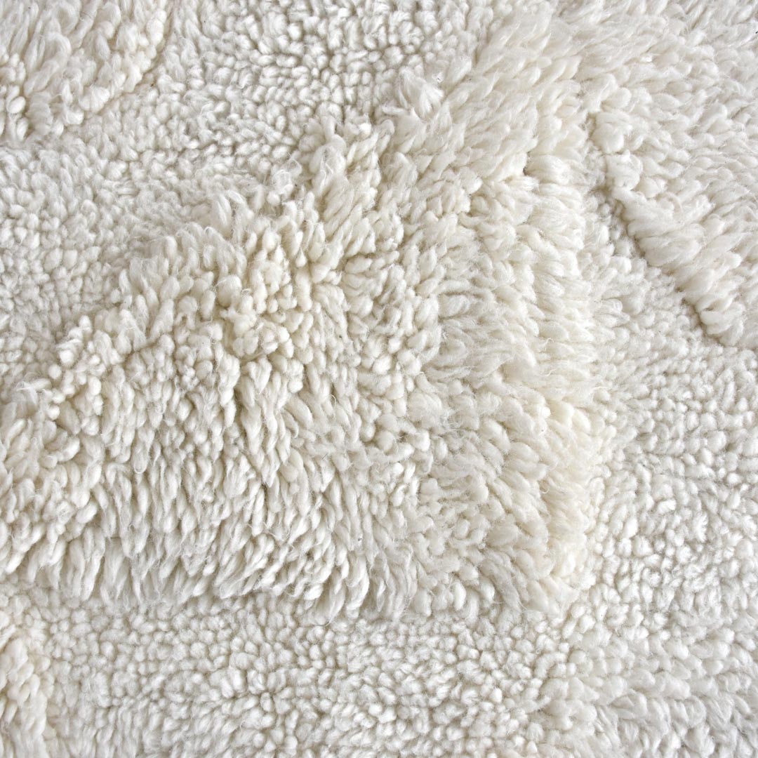 Covor ivoire Montlu 190 x 290 cm